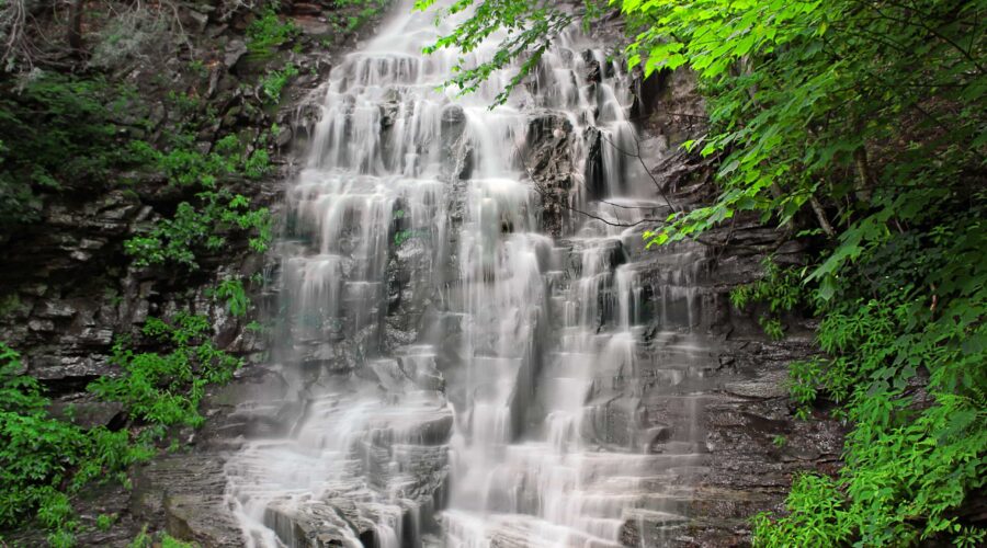 Natural Harmony: Bambu Spa Depok