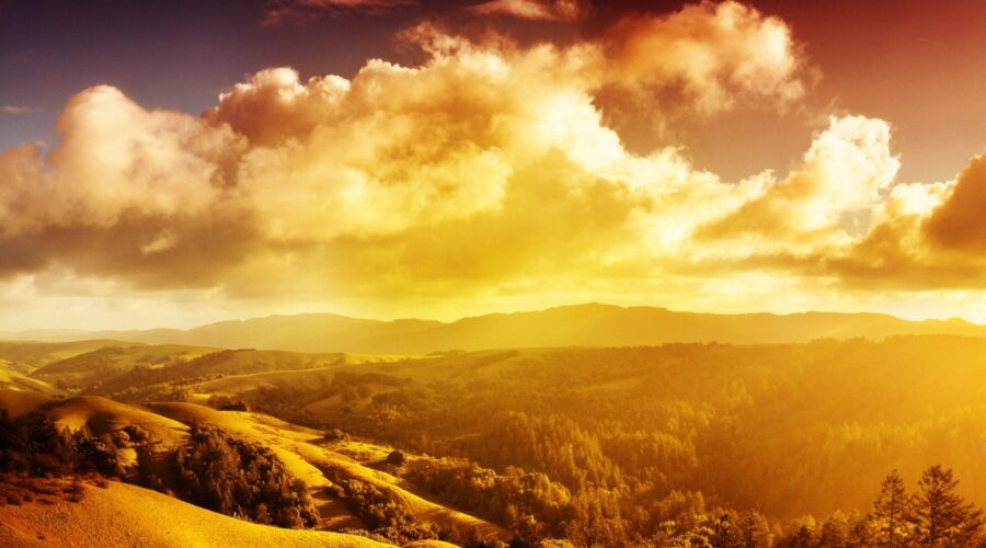 Warm Family Care: Yuzen Family Reflexology Penjaringan