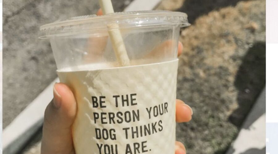 Downtown Serenity: 10 Best Spas in Nampa Idaho