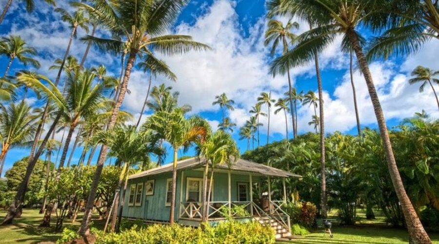 Oceanfront Wellness: 10 Best Spas in Waimea Hawaii