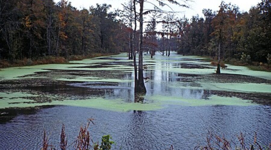 Historic Healing: 10 Best Spas in Arkansas Post Arkansas