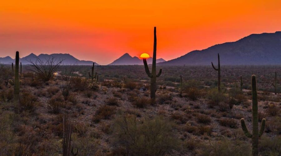 Desert Wellness: 10 Best Spas in Gila Bend Arizona