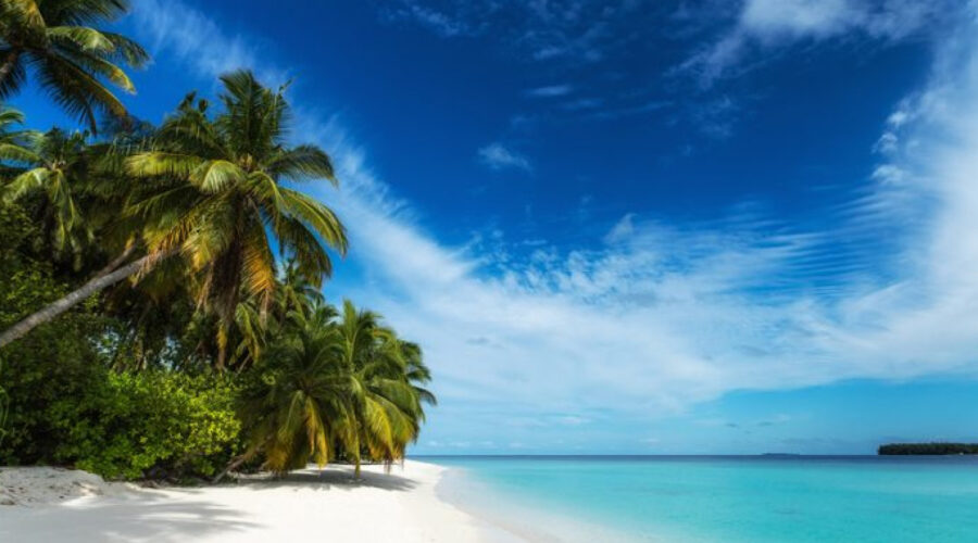 Rustic Luxury: 10 Best Spas in Amarillo Texas