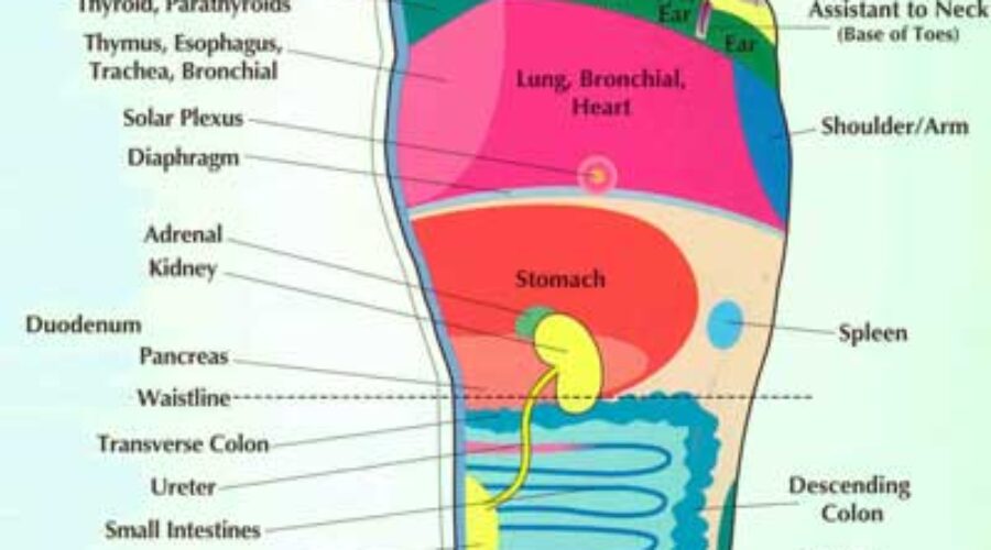 Pure Balance: Reborn Foot Reflexology Batam