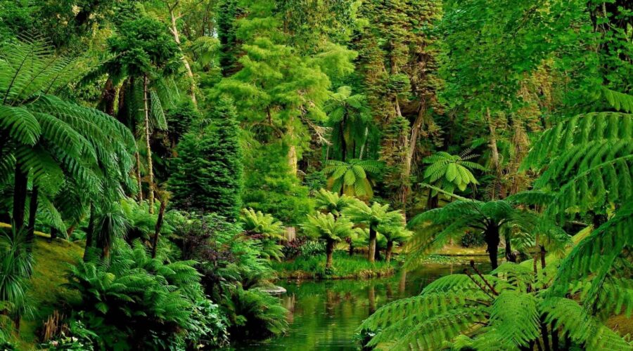 Jungle Luxury at Mekar Ubud Jungle Spa