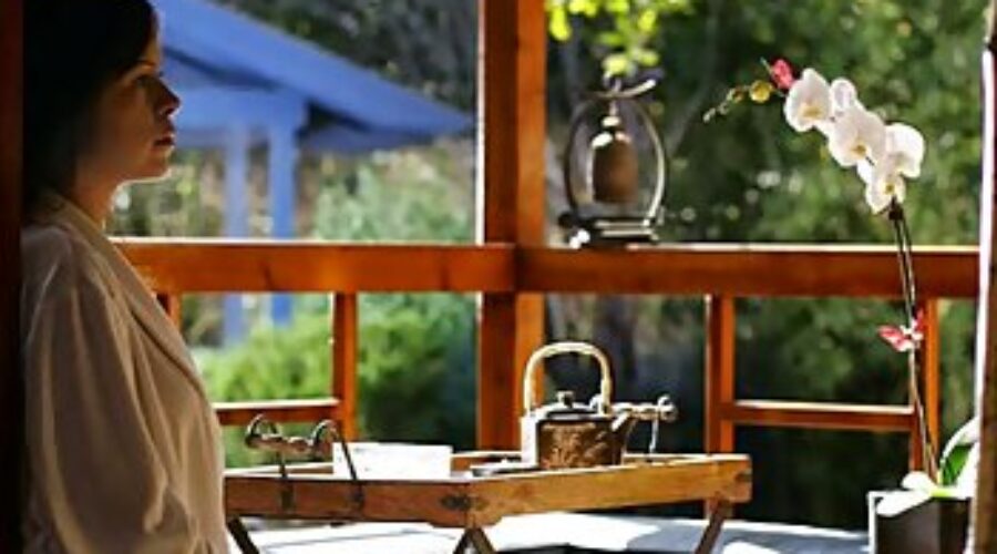 Vibrant Wellness: 10 Best Spas in Santa Ana California