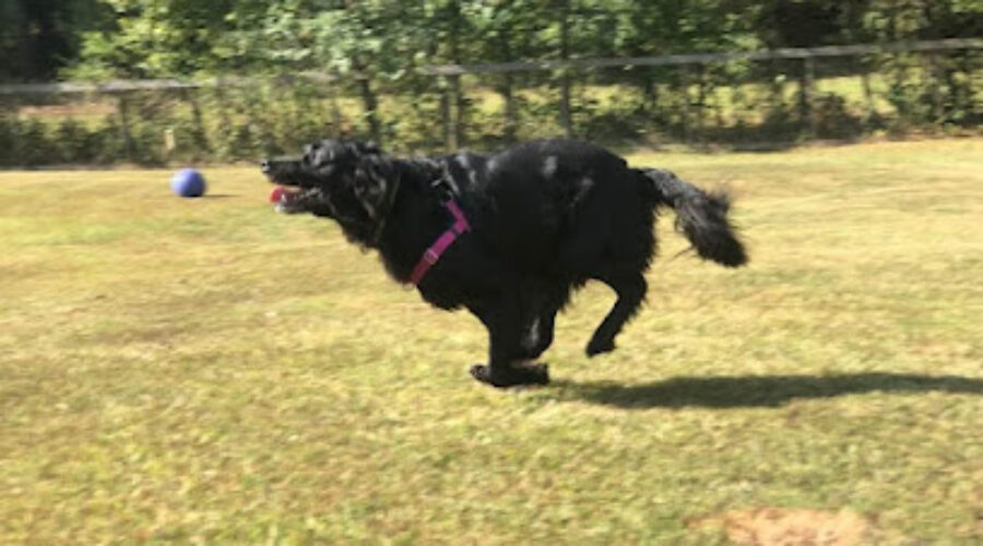 Small-Town Wellness: 10 Best Spas in Carrollton Georgia