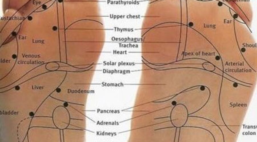 Total Wellness: Manza Spa & Reflexology Medan