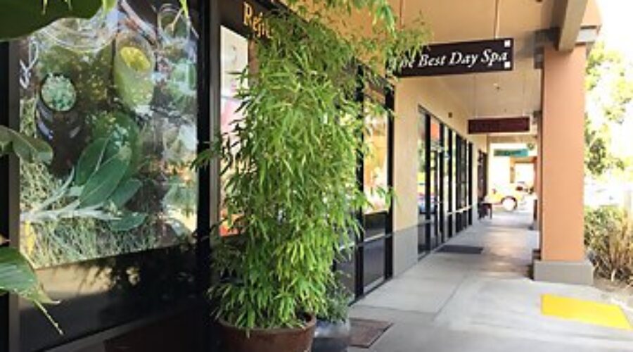 Wine Country Wellness: 10 Best Spas in Santa Rosa California