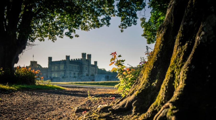 Peaceful Escapes: 10 Best Spas in Andersonville Georgia