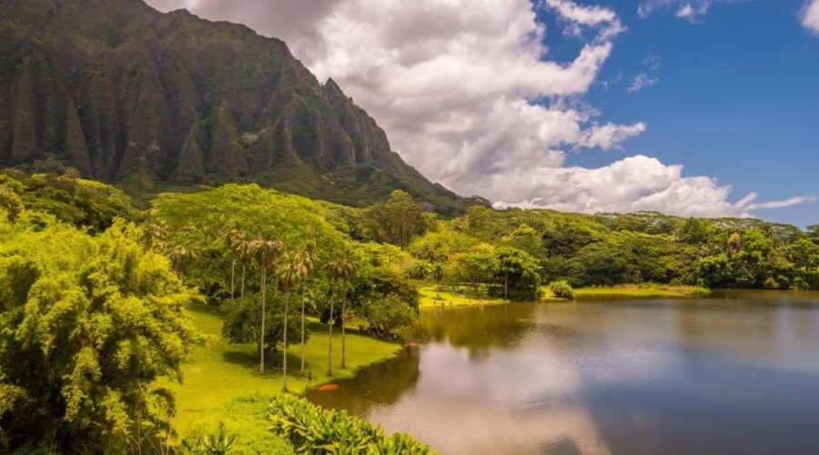 Bayfront Bliss: 10 Best Spas in Kaneohe Hawaii