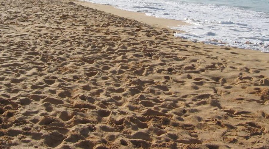 Coastal Luxury: 10 Best Spas in Oxnard California