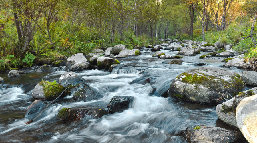 River Harmony: 10 Best Spas in Washington Missouri