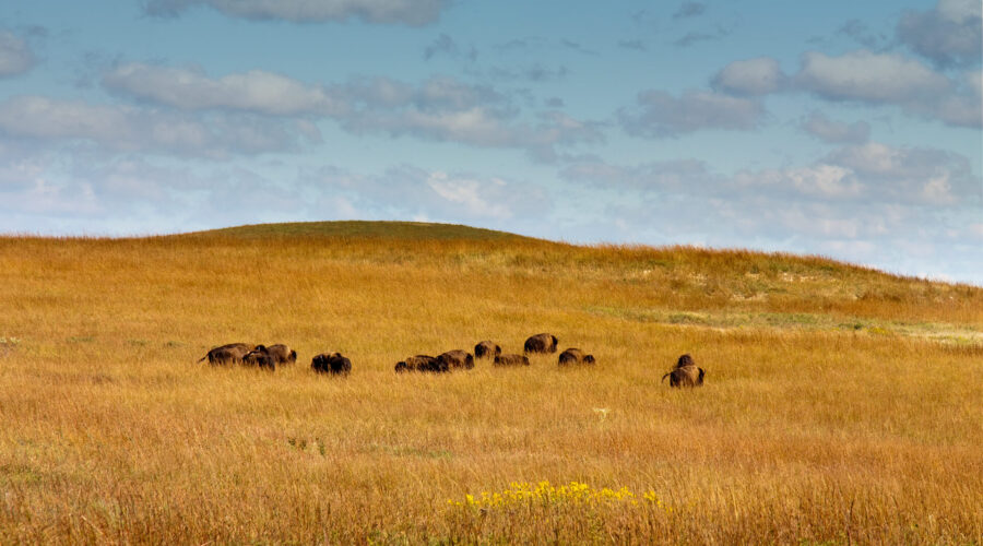Prairie Balance: 10 Best Spas in Wahpeton North Dakota