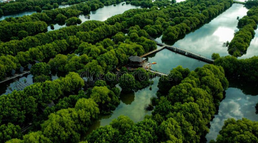 Gentle Escape: Dgrape Massage West Jakarta