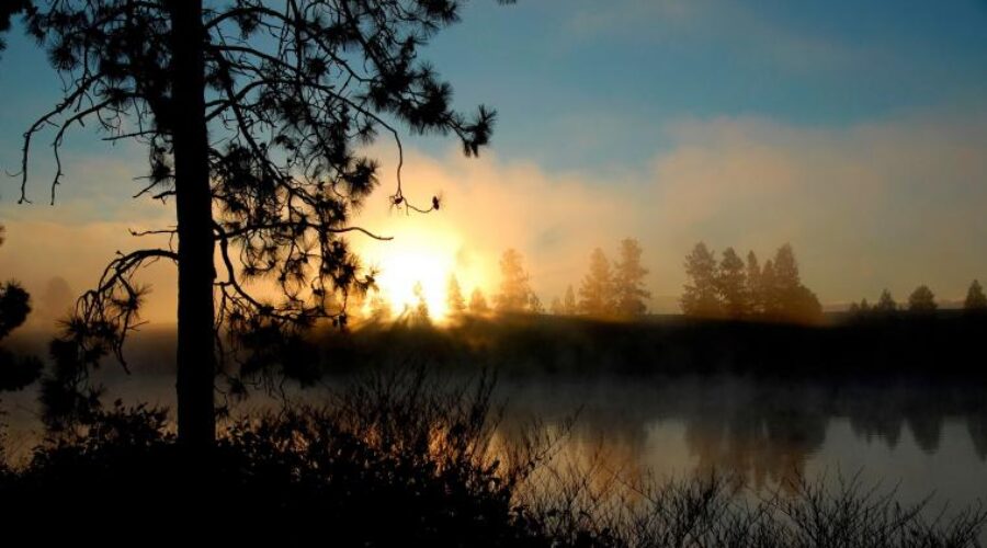 Natural Glow: Magnolia Salon & Spa Bogor