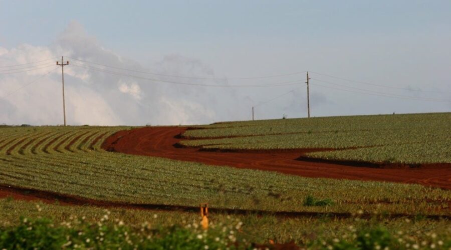 Quiet Escape: 10 Best Spas in Wahiawa Hawaii