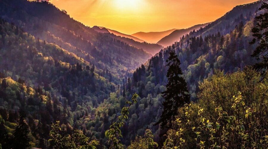 Appalachian Calm: 10 Best Spas in Lewisburg West Virginia