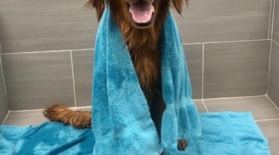 Upscale Wellness: 10 Best Spas in Overland Park Kansas