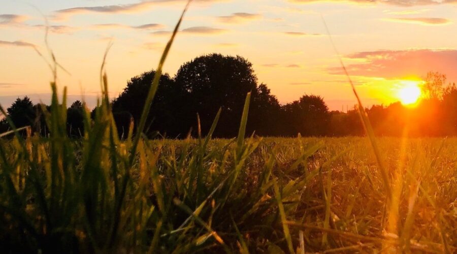 Wellness Redefined: Despa Medan