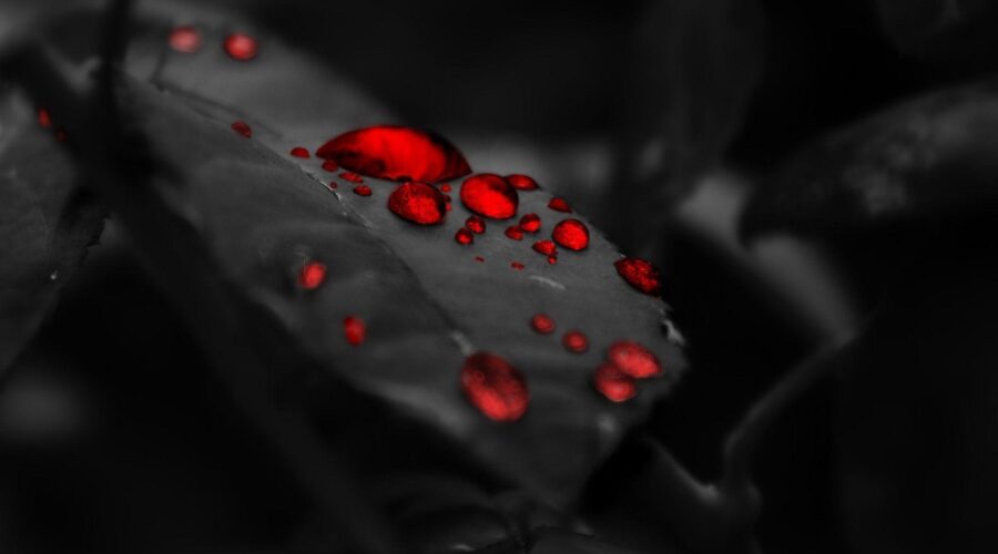 10 Best Red Light Therapy for Seasonal Depression: The Bright Light Hack at Spas Neighborhoods