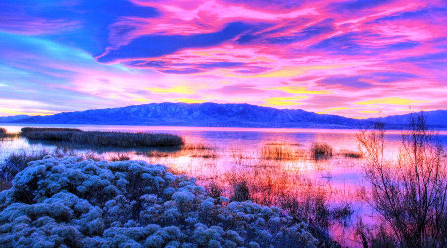 10 Best Best Herbal Spa Packages in California: Organic Farms & Vineyard Views Neighborhoods