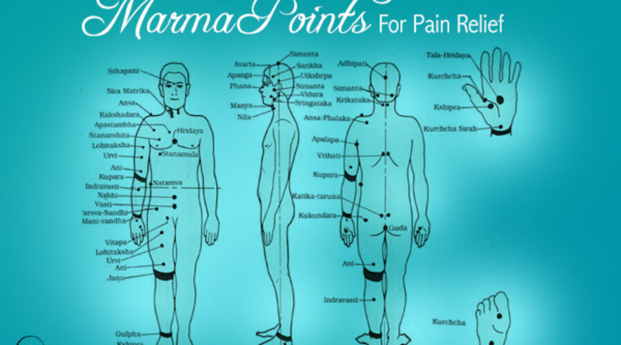 10 Best Marma Point Therapy: The Ancient Indian Energy Work Hiding in Your Local Spa Neighborhoods