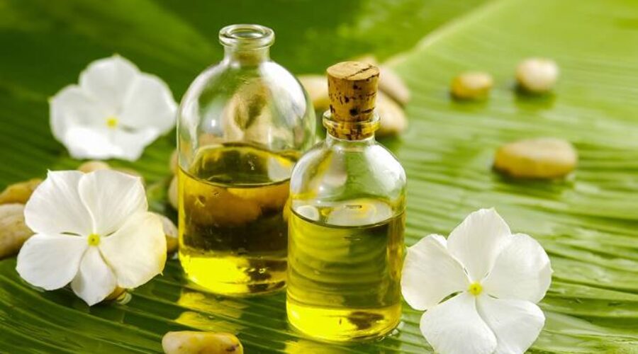 10 Best How to Choose the Right Botanical Oil for Your Massage Treatment Neighborhoods
